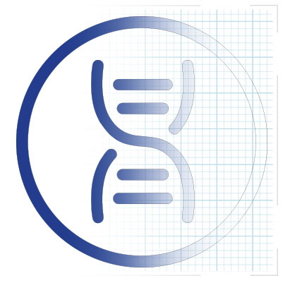 Illustration de la création du logo de ADN Nations
