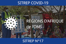 COVID-19 – 17ème Rapport épidémiologique des régions d’Afrique de l’OMS