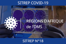 COVID-19 – 18ème SITREP des régions d’Afrique de l’OMS