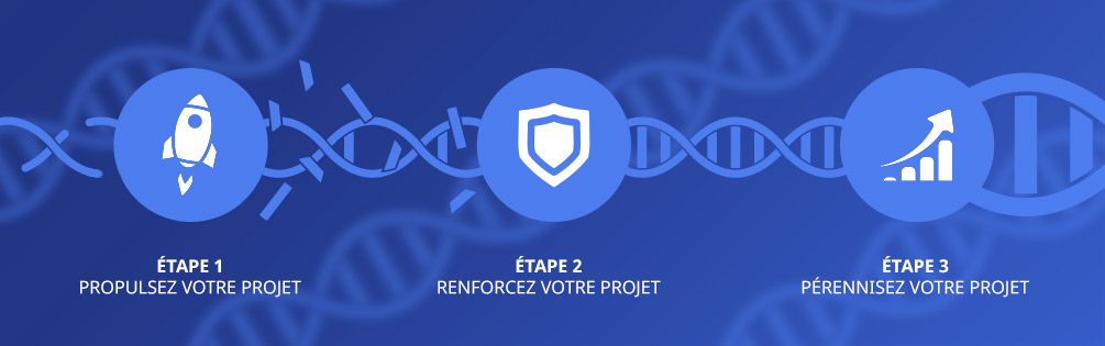 la strategie ADN NATIONS : propulser, renforcer, pérenniser