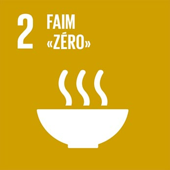 Objectif de Développement Durable 2 du PNUD