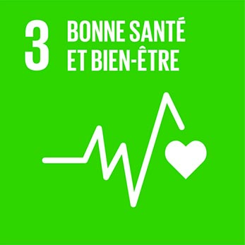 Objectif de Développement Durable 3 du PNUD