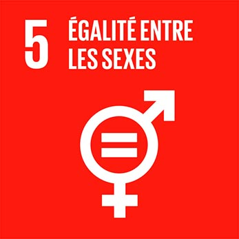 Objectif de Développement Durable 5 du PNUD