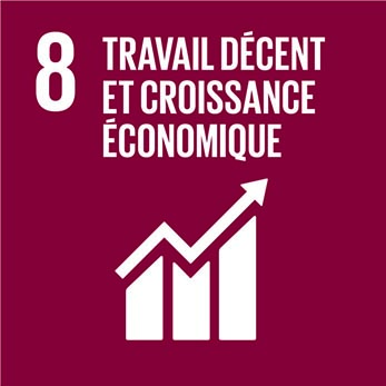 Objectif de Développement Durable 8 du PNUD