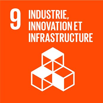 Objectif de Développement Durable 9 du PNUD