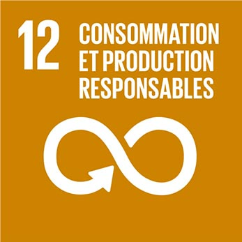Objectif de Développement Durable 12 du PNUD
