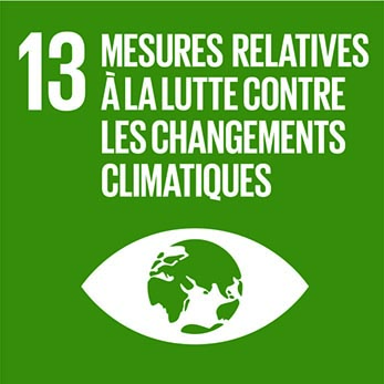 Objectif de Développement Durable 13 du PNUD