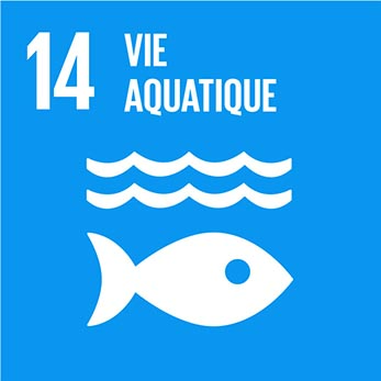 Objectif de Développement Durable 14 du PNUD