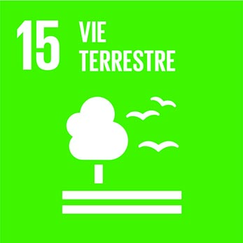 Objectif de Développement Durable 15 du PNUD