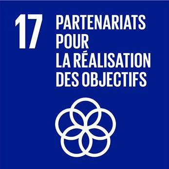 Objectif de Développement Durable 17 du PNUD